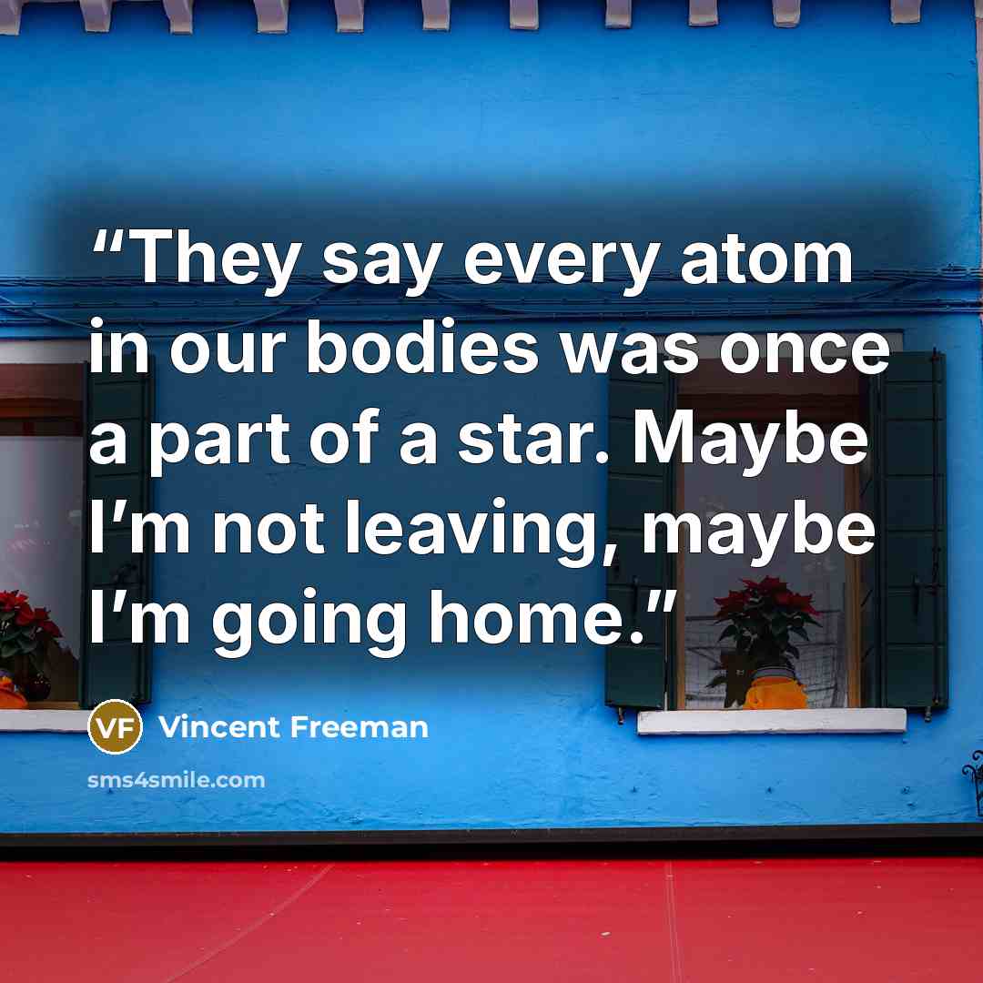 “They say every atom in our bodies was once a part of a star. Maybe I’m not leaving, maybe I’m going home.” quote by Vincent Freeman