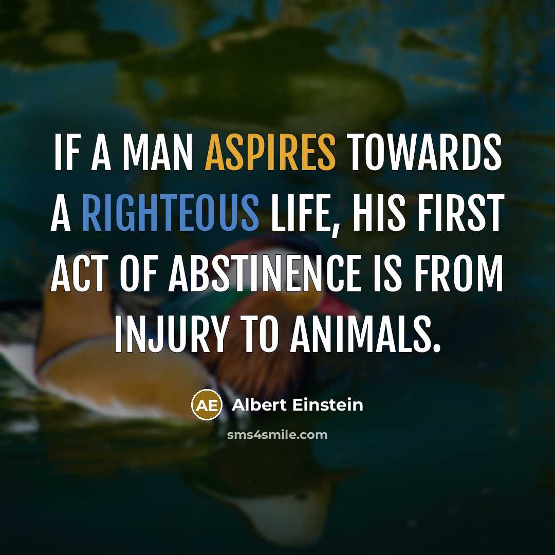 “If a man aspires towards a righteous life, his first act of abstinence is from injury to animals.” quote by Albert Einstein