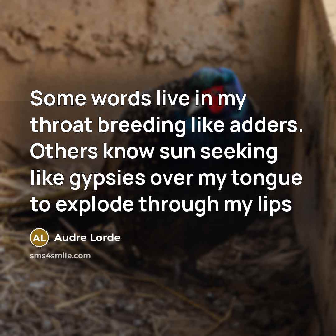 “Some words live in my throat breeding like adders. Others know sun seeking like gypsies over my tongue to explode through my lips” quote by Audre Lorde