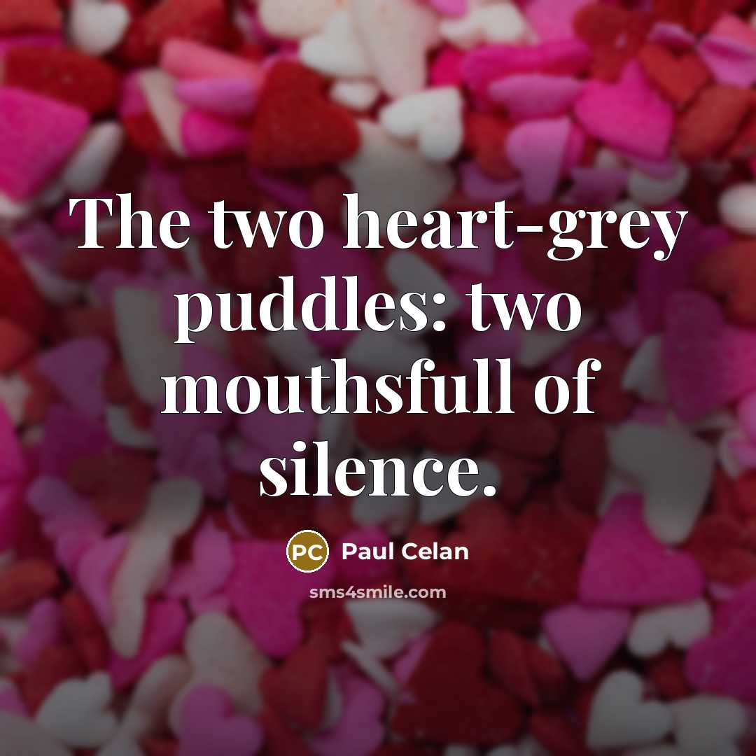 “The two heart-grey puddles: two mouthsfull of silence.” quote by Paul Celan
