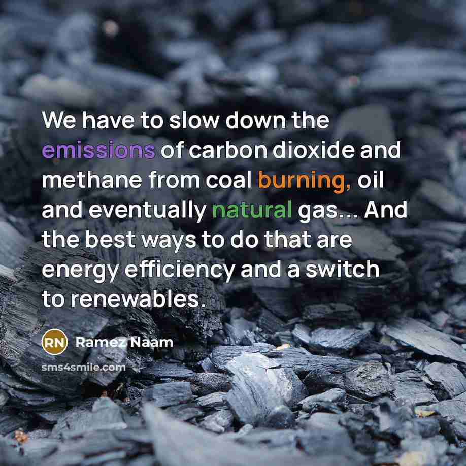 “We have to slow down the emissions of carbon dioxide and methane from coal burning, oil and eventually natural gas... And the best ways to do that are energy efficiency and a switch to renewables.” quote by Ramez Naam