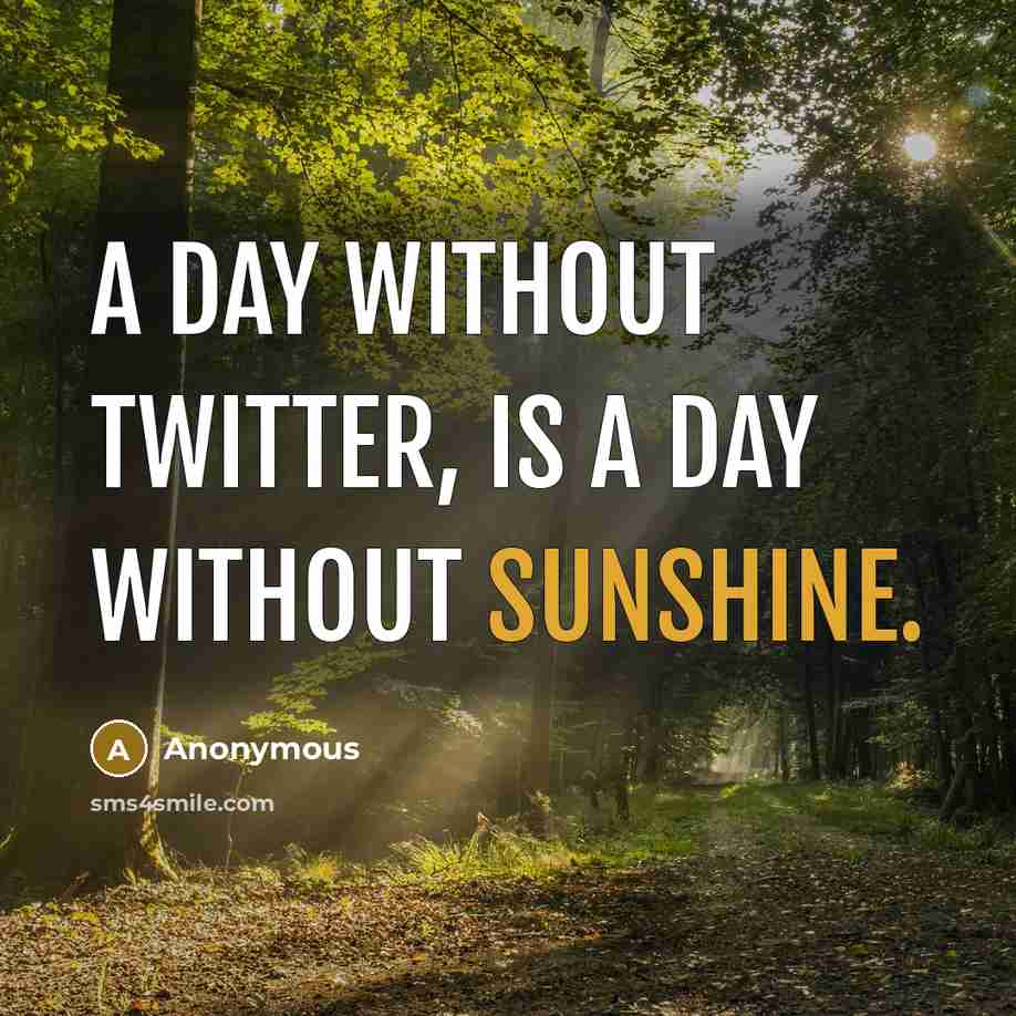 “A day without Twitter, is a day without sunshine.” quote by Anonymous