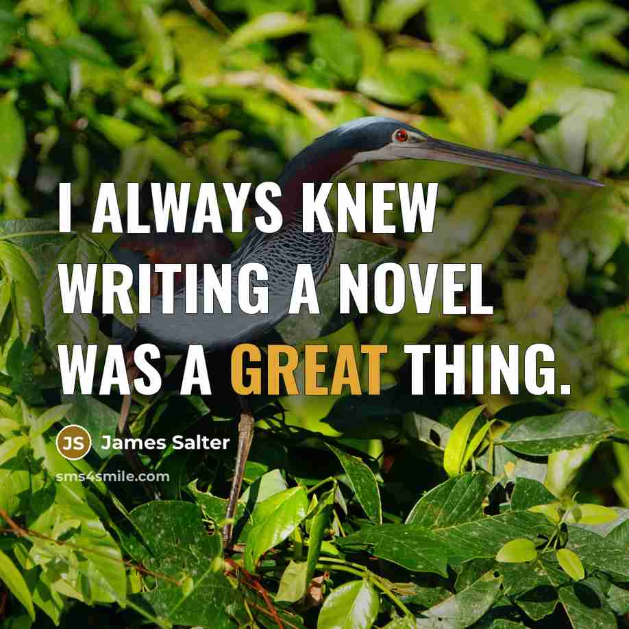 “I always knew writing a novel was a great thing.” quote by James Salter