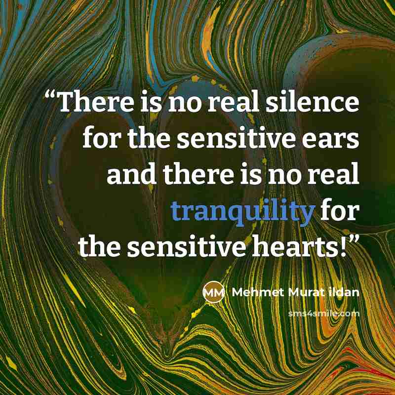“There is no real silence for the sensitive ears and there is no real tranquility for the sensitive hearts!” quote by Mehmet Murat ildan