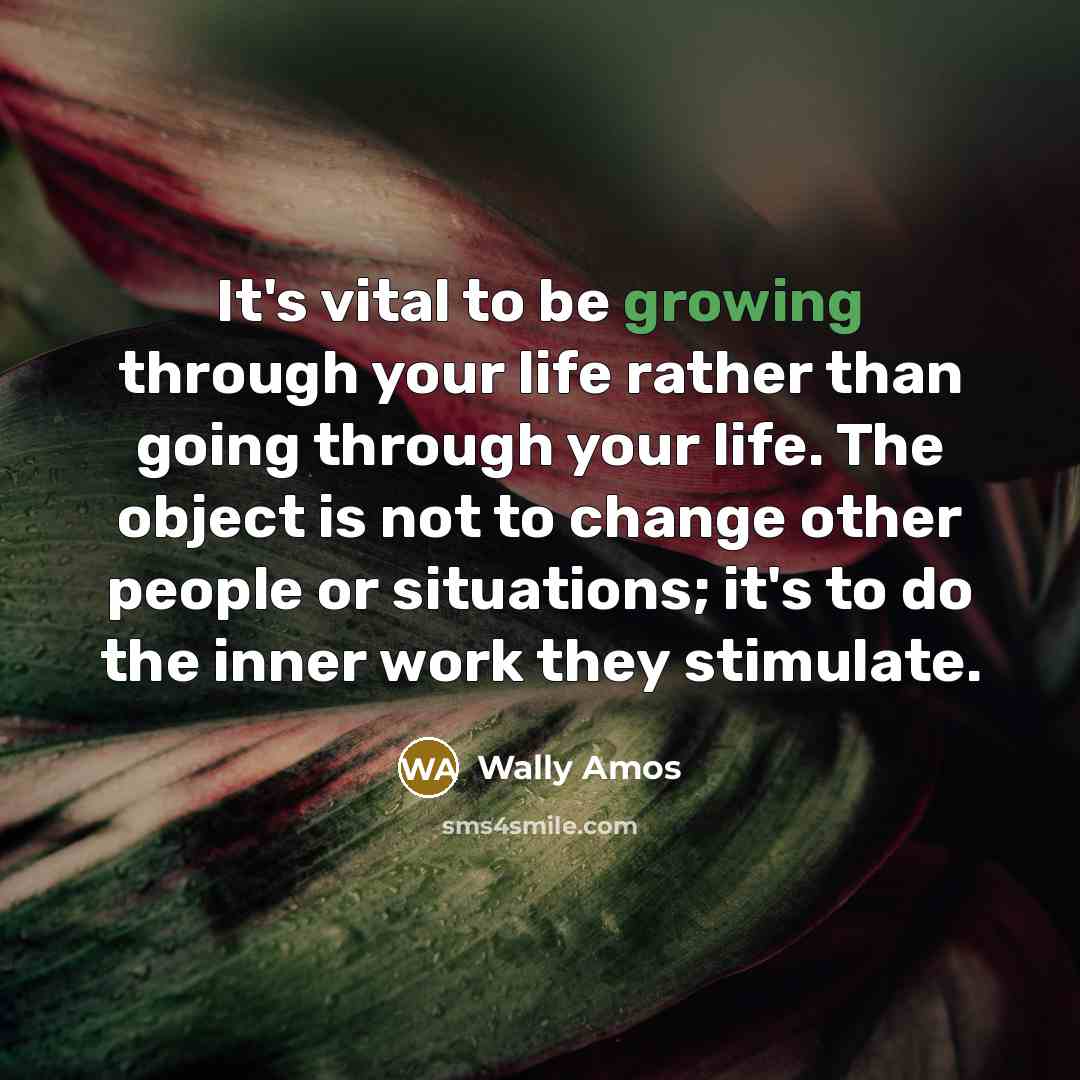 “It's vital to be growing through your life rather than going through your life. The object is not to change other people or situations; it's to do the inner work they stimulate.” quote by Wally Amos