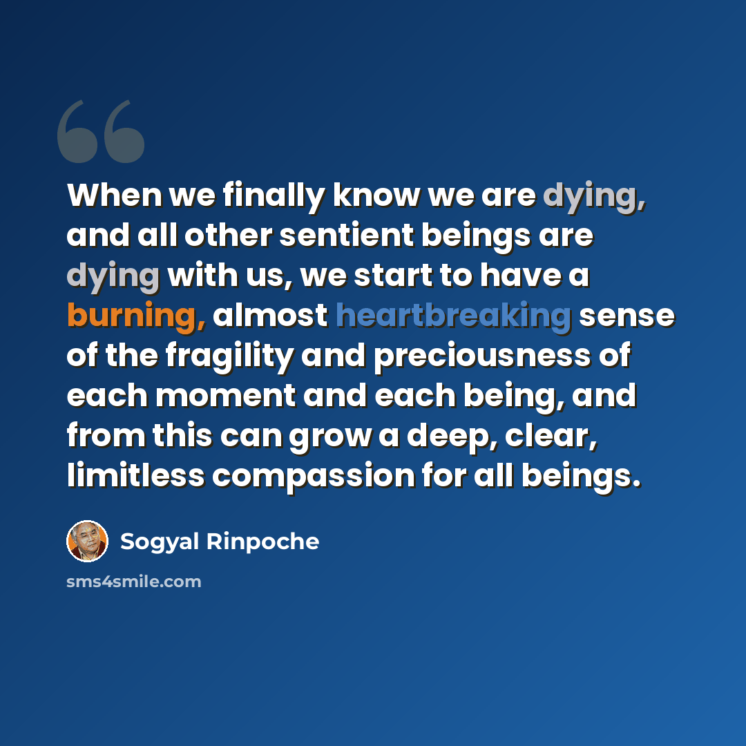“When we finally know we are dying, and all other sentient beings are dying with us, we start to have a burning, almost heartbreaking sense of the fragility and preciousness of each moment and each being, and from this can grow a deep, clear, limitless compassion for all beings.” quote by Sogyal Rinpoche