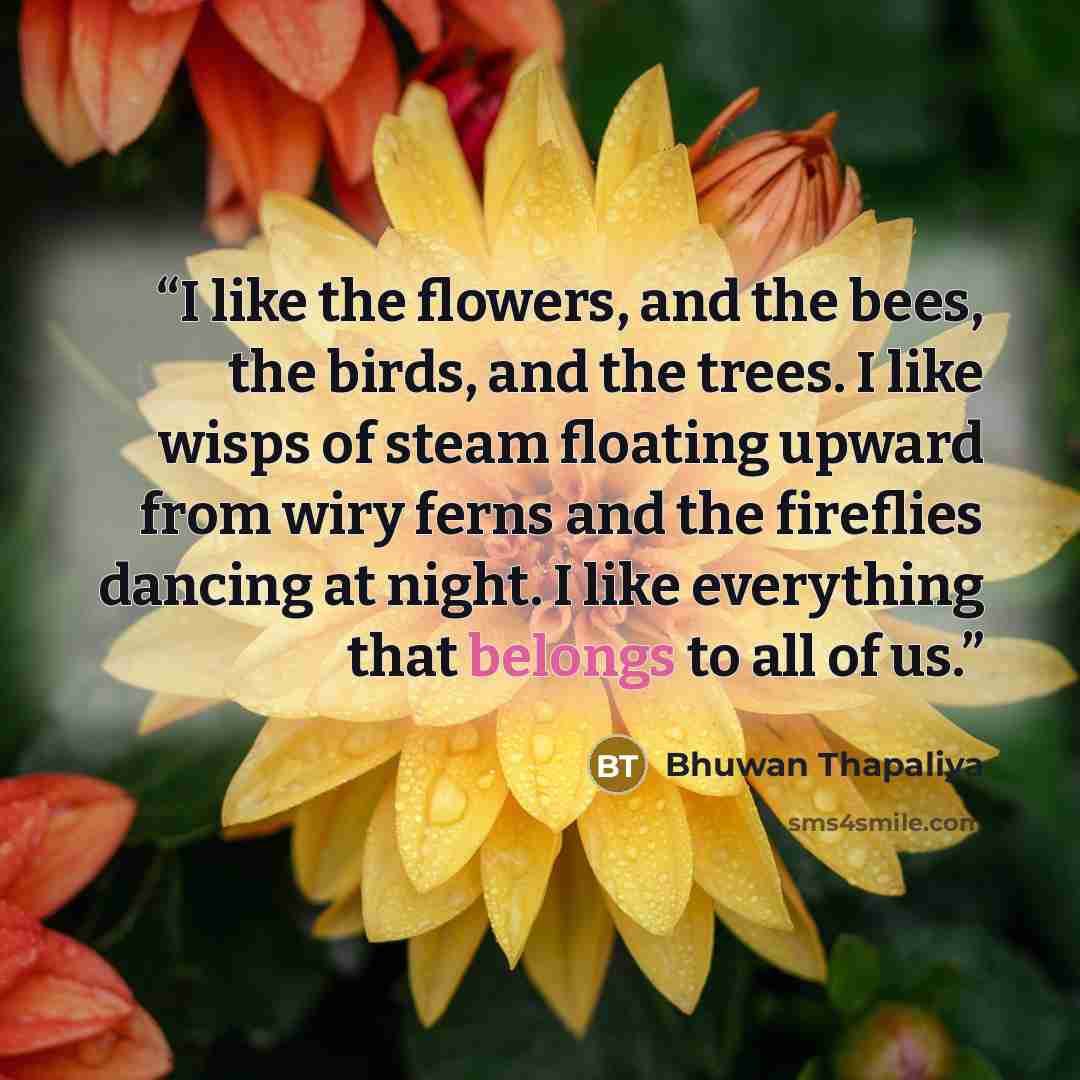 “I like the flowers, and the bees, the birds, and the trees. I like wisps of steam floating upward from wiry ferns and the fireflies dancing at night. I like everything that belongs to all of us.” quote by Bhuwan Thapaliya