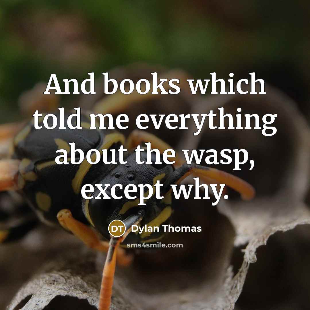 “And books which told me everything about the wasp, except why.” quote by Dylan Thomas