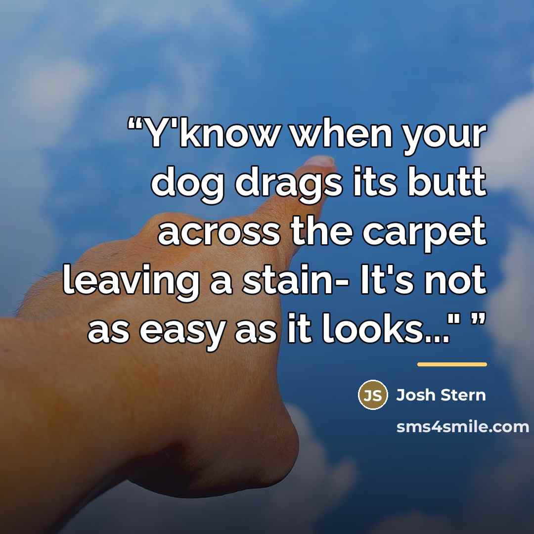 “Y'know when your dog drags its butt across the carpet leaving a stain- It's not as easy as it looks..."” quote by Josh Stern