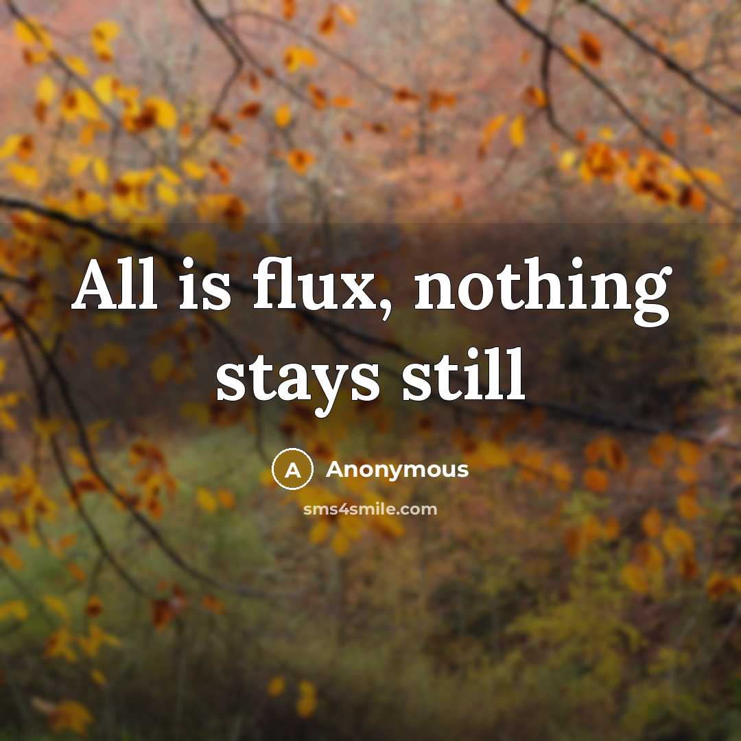 “All is flux, nothing stays still” quote by Anonymous