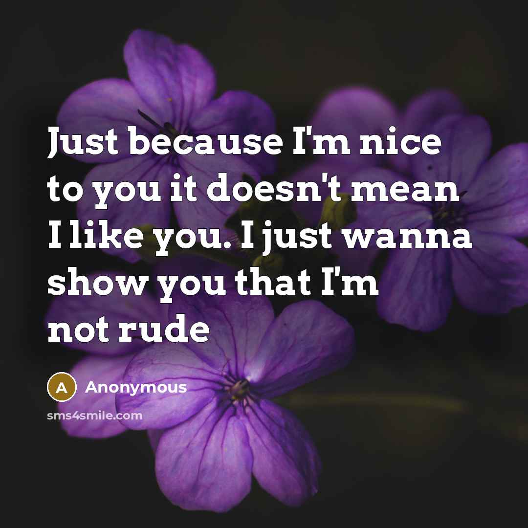 “Just because I'm nice to you it doesn't mean I like you. I just wanna show you that I'm not rude” quote by Anonymous