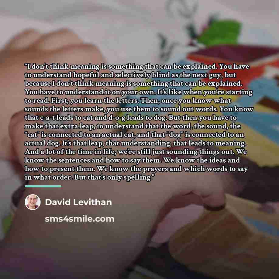 “I don’t think meaning is something that can be explained. You have to understand hopeful and selectively blind as the next guy, but because I don’t think meaning is something that can be explained. You have to understand it on your own. It’s like when you’re starting to read. First, you learn the…” quote by David Levithan