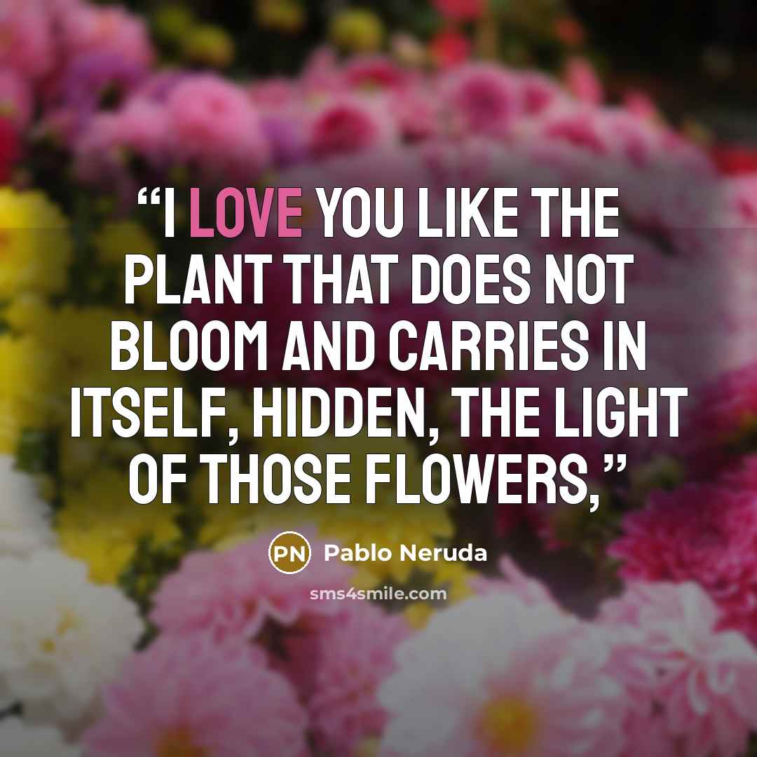 “I love you like the plant that does not bloom and carries in itself, hidden, the light of those flowers,” quote by Pablo Neruda