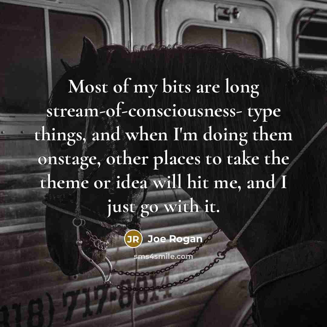 “Most of my bits are long stream-of-consciousness- type things, and when I'm doing them onstage, other places to take the theme or idea will hit me, and I just go with it.” quote by Joe Rogan