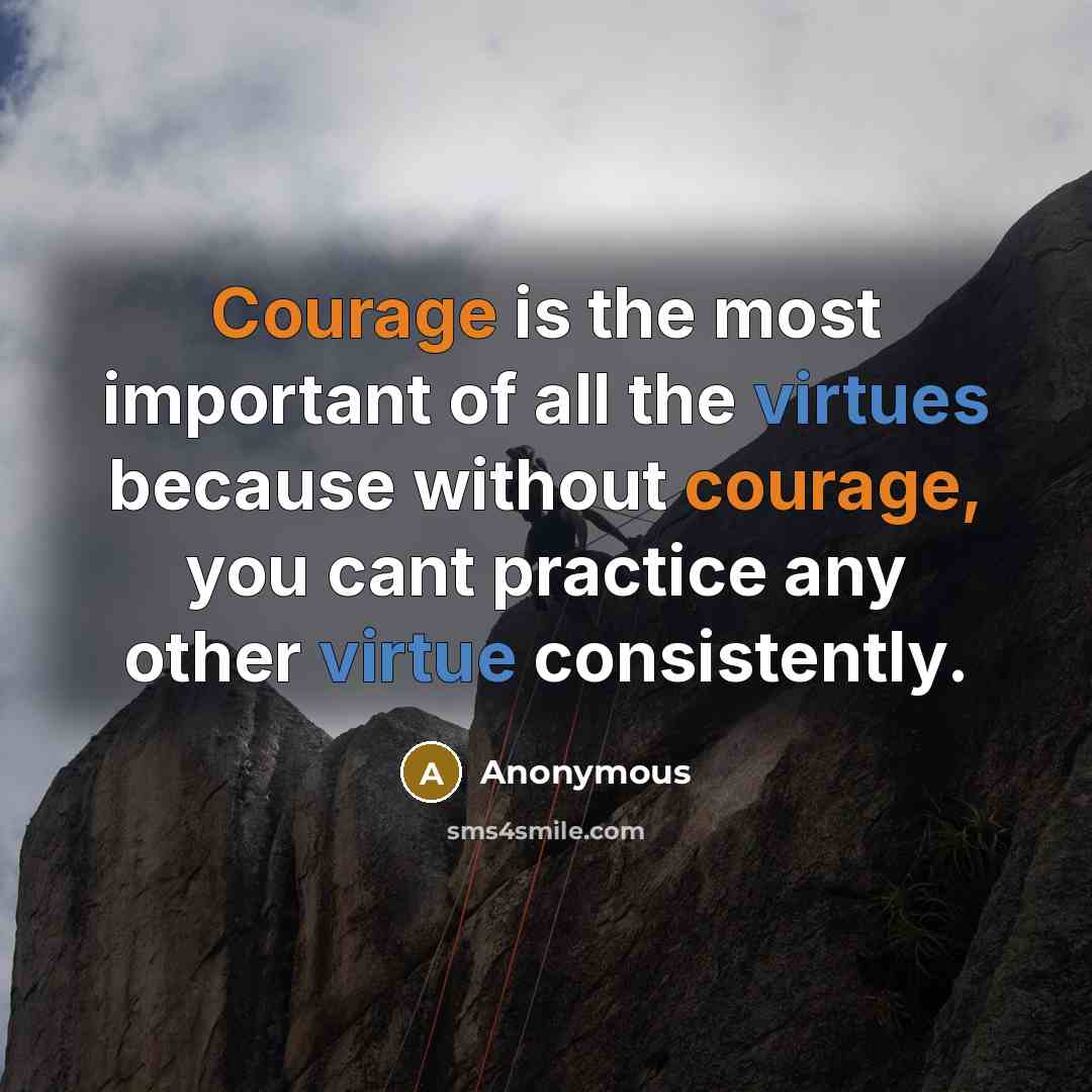 “Courage is the most important of all the virtues because without courage, you cant practice any other virtue consistently.” quote by Anonymous