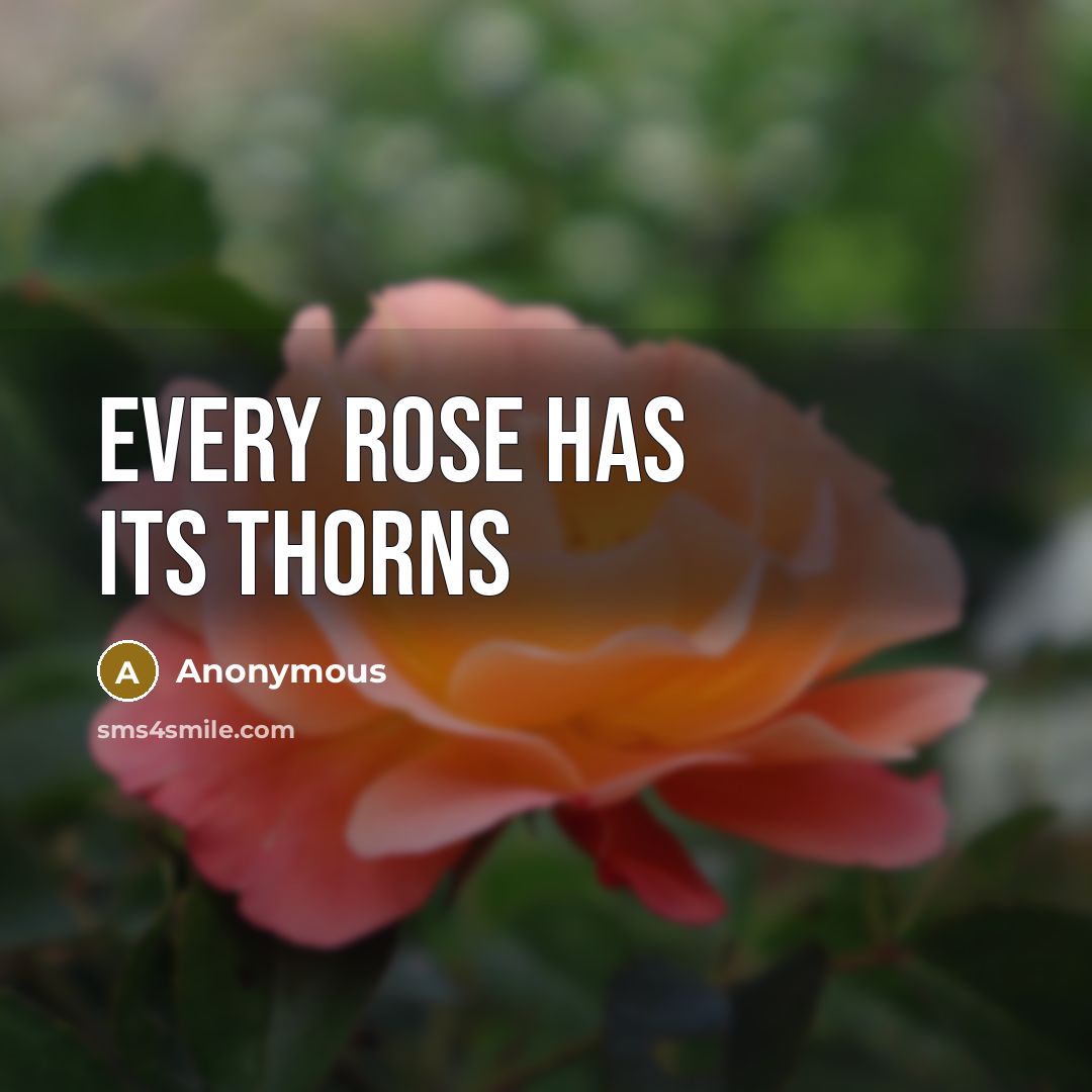 “Every rose has its thorns” quote by Anonymous
