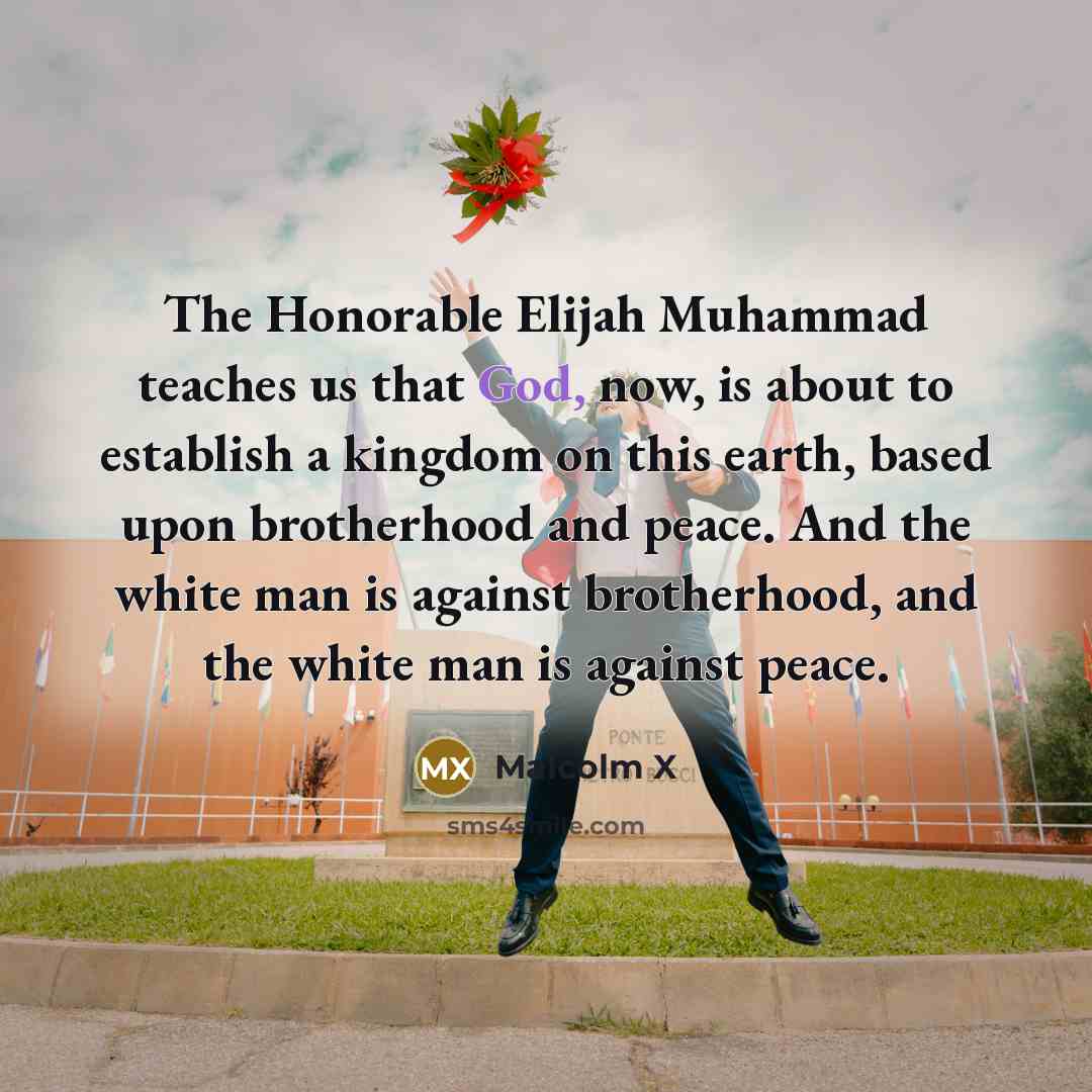 “The Honorable Elijah Muhammad teaches us that God, now, is about to establish a kingdom on this earth, based upon brotherhood and peace. And the white man is against brotherhood, and the white man is against peace.” quote by Malcolm X