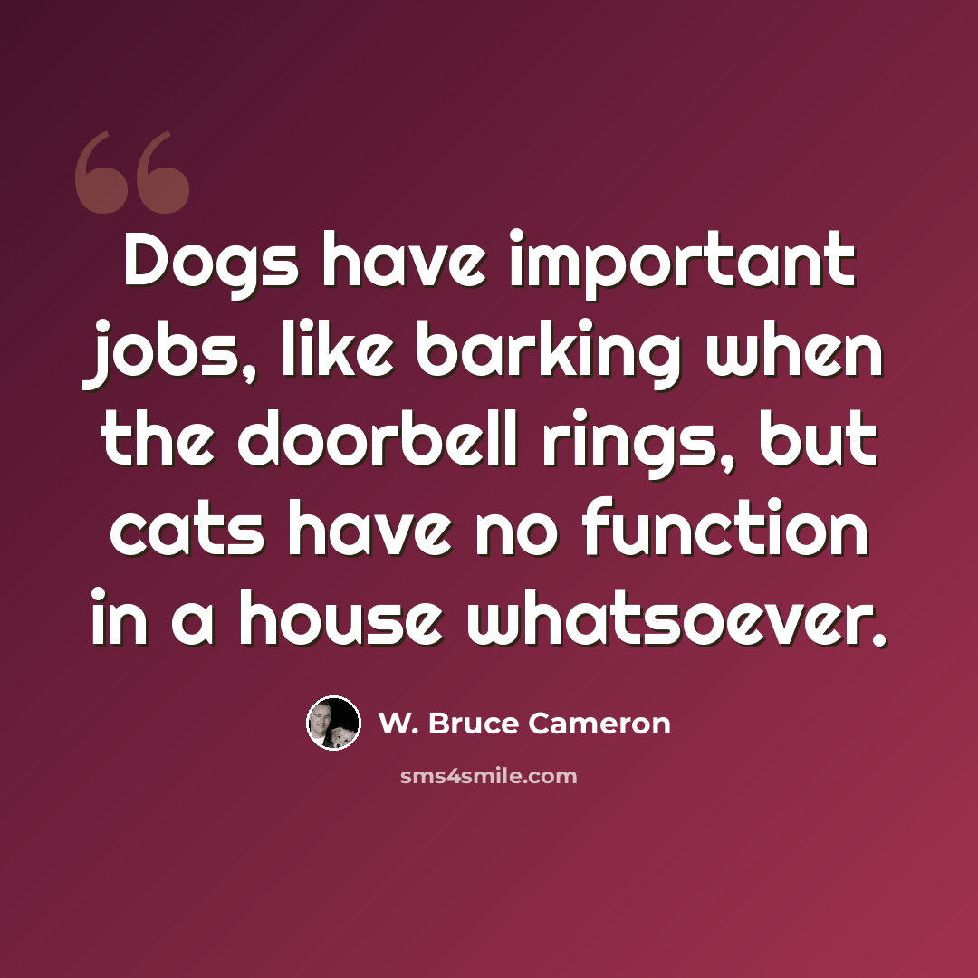 “Dogs have important jobs, like barking when the doorbell rings, but cats have no function in a house whatsoever.” quote by W. Bruce Cameron