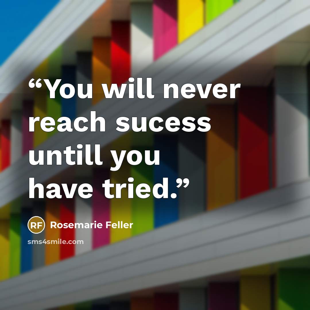 “You will never reach sucess untill you have tried.” quote by Rosemarie Feller