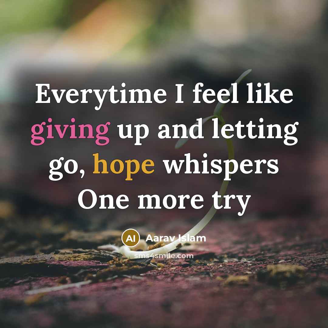“Everytime I feel like giving up and letting go, hope whispers One more try” quote by Aarav Islam