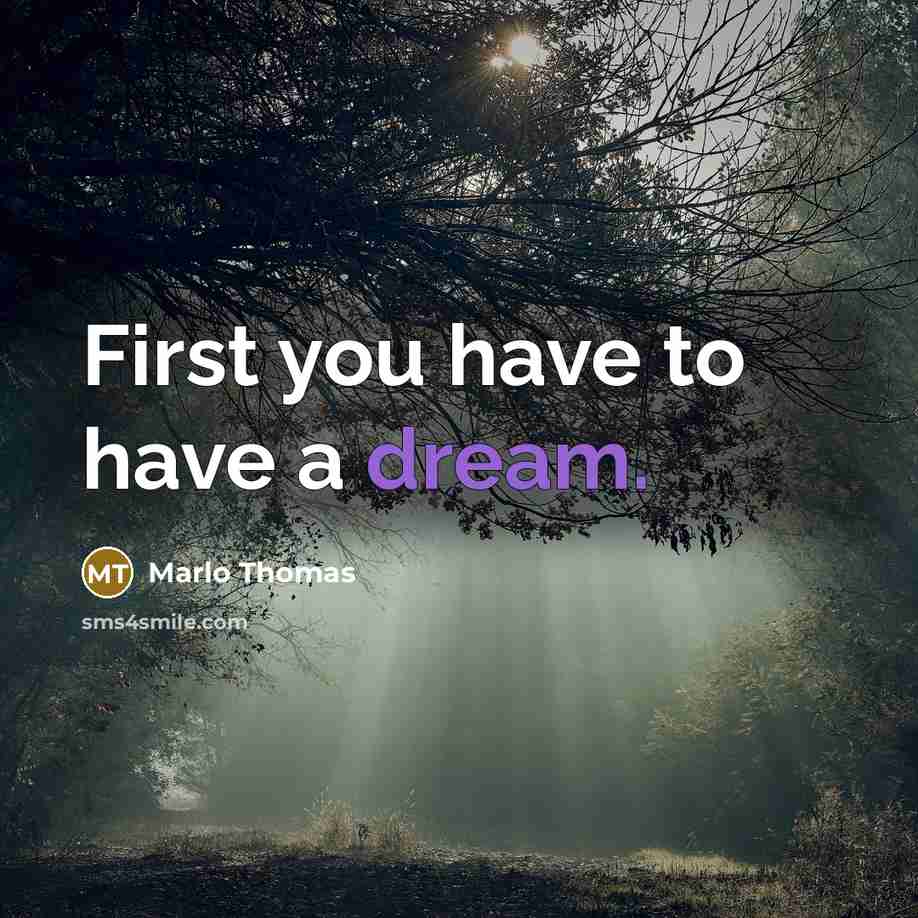 “First you have to have a dream.” quote by Marlo Thomas