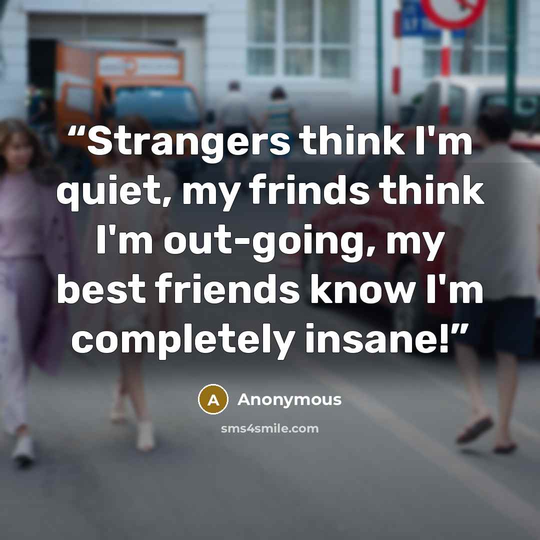 “Strangers think I'm quiet, my frinds think I'm out-going, my best friends know I'm completely insane!” quote by Anonymous