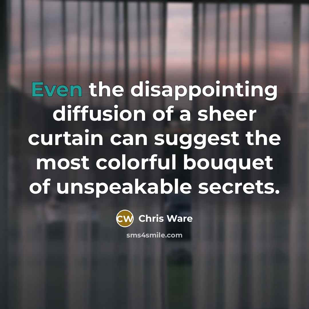 “Even the disappointing diffusion of a sheer curtain can suggest the most colorful bouquet of unspeakable secrets.” quote by Chris Ware