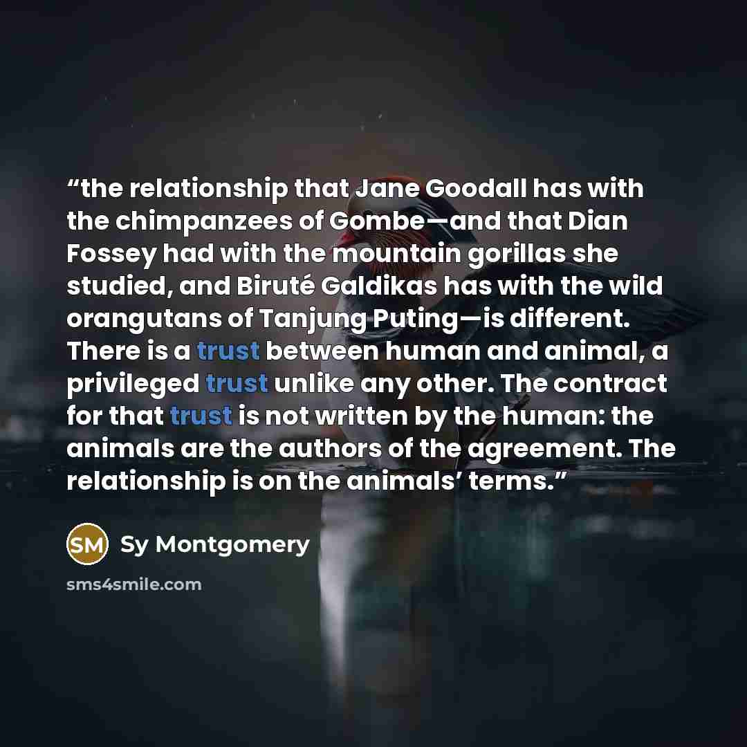 “the relationship that Jane Goodall has with the chimpanzees of Gombe—and that Dian Fossey had with the mountain gorillas she studied, and Biruté Galdikas has with the wild orangutans of Tanjung Puting—is different. There is a trust between human and animal, a privileged trust unlike any other. The…” quote by Sy Montgomery