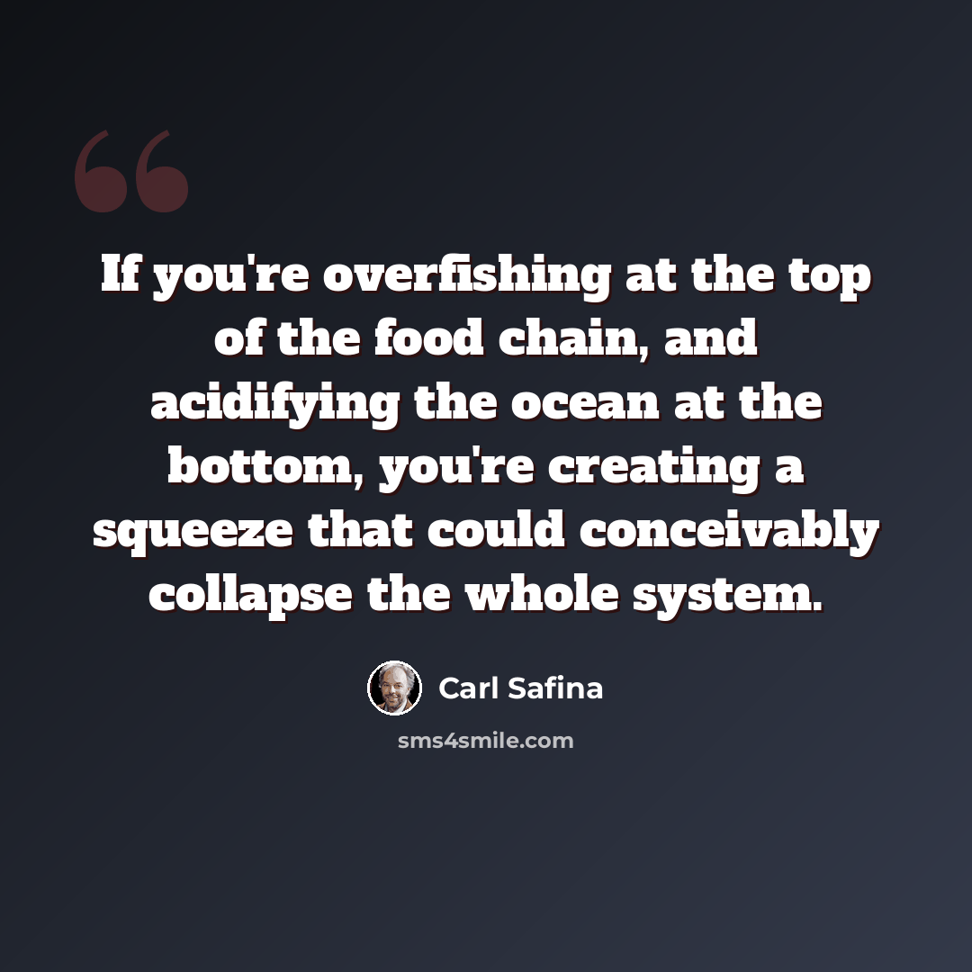“If you're overfishing at the top of the food chain, and acidifying the ocean at the bottom, you're creating a squeeze that could conceivably collapse the whole system.” quote by Carl Safina