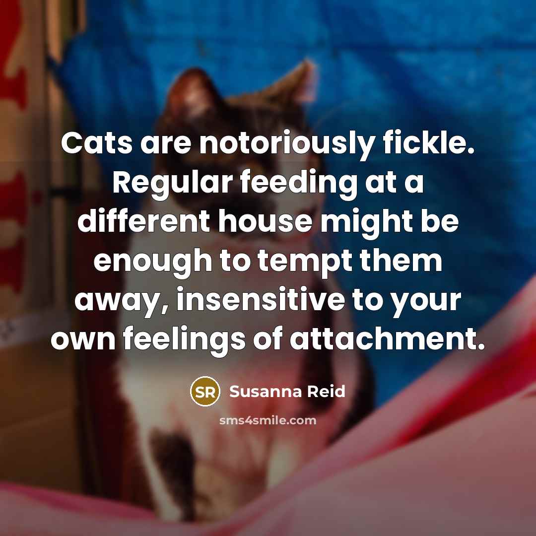 “Cats are notoriously fickle. Regular feeding at a different house might be enough to tempt them away, insensitive to your own feelings of attachment.” quote by Susanna Reid