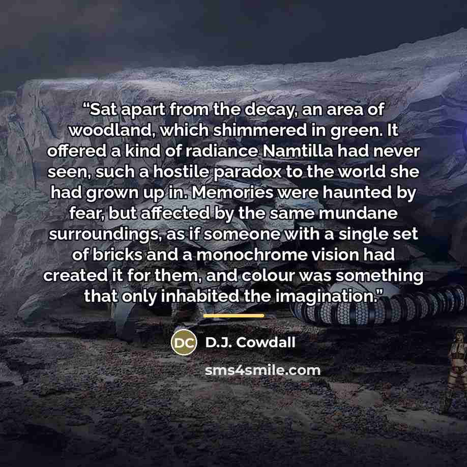 “Sat apart from the decay, an area of woodland, which shimmered in green. It offered a kind of radiance Namtilla had never seen, such a hostile paradox to the world she had grown up in. Memories were haunted by fear, but affected by the same mundane surroundings, as if someone with a single set of…” quote by D.J. Cowdall