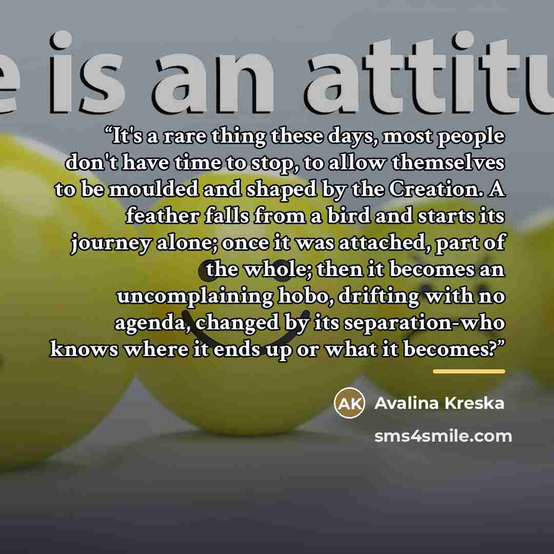 “It's a rare thing these days, most people don't have time to stop, to allow themselves to be moulded and shaped by the Creation. A feather falls from a bird and starts its journey alone; once it was attached, part of the whole; then it becomes an uncomplaining hobo, drifting with no agenda…” quote by Avalina Kreska