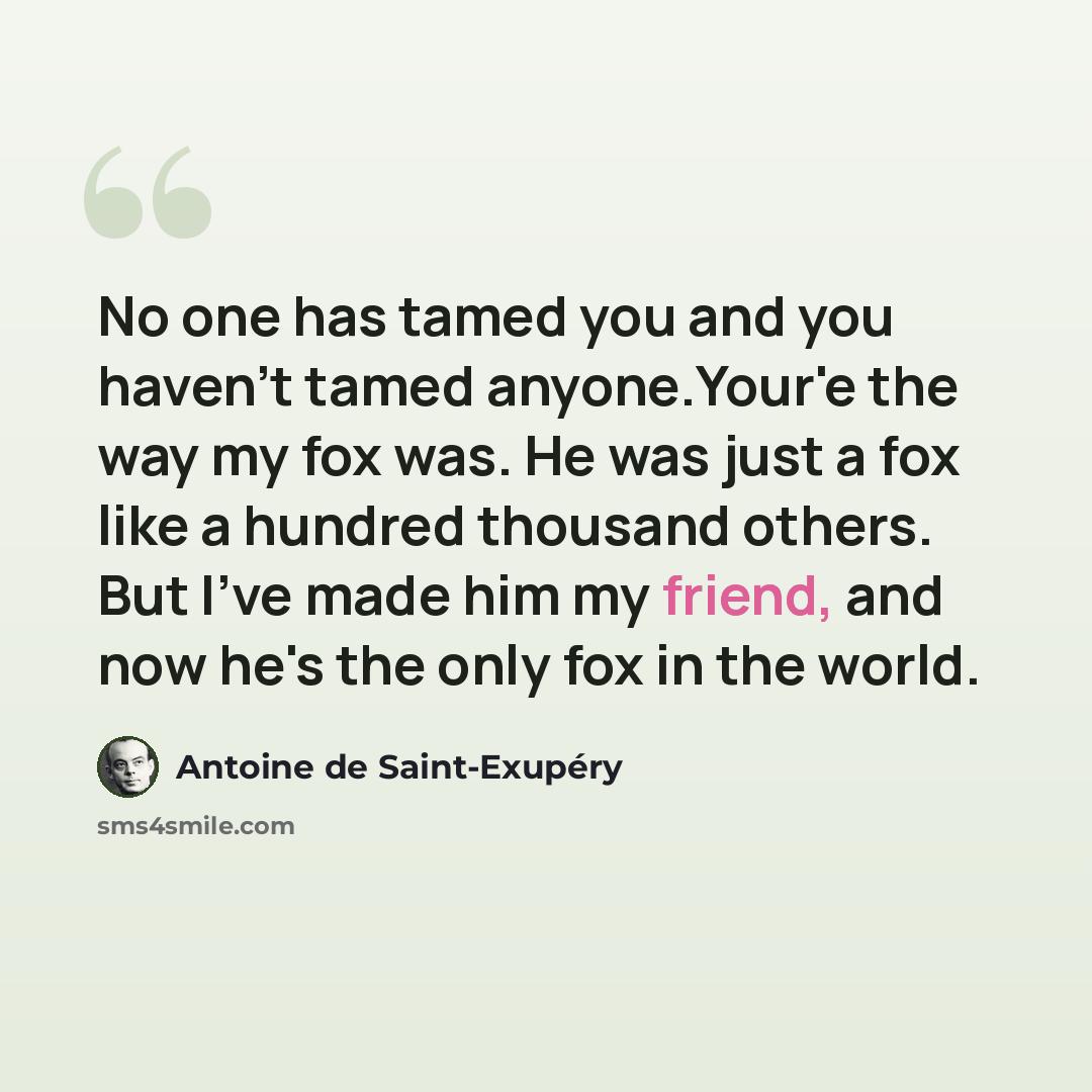 “No one has tamed you and you haven't tamed anyone.Your'e the way my fox was. He was just a fox like a hundred thousand others. But I've made him my friend, and now he's the only fox in the world.” quote by Antoine de Saint-Exupery
