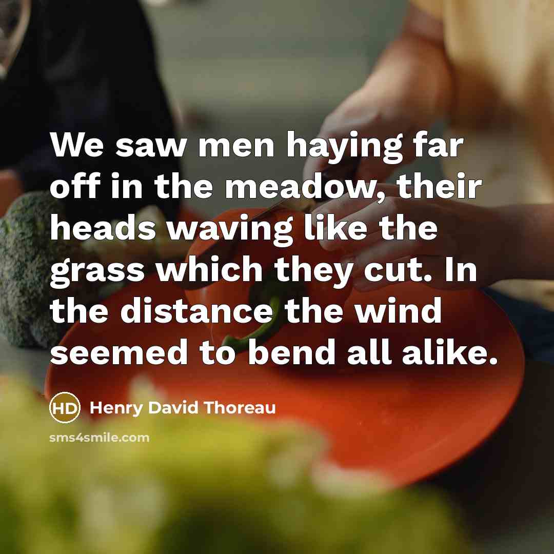 “We saw men haying far off in the meadow, their heads waving like the grass which they cut. In the distance the wind seemed to bend all alike.” quote by Henry David Thoreau