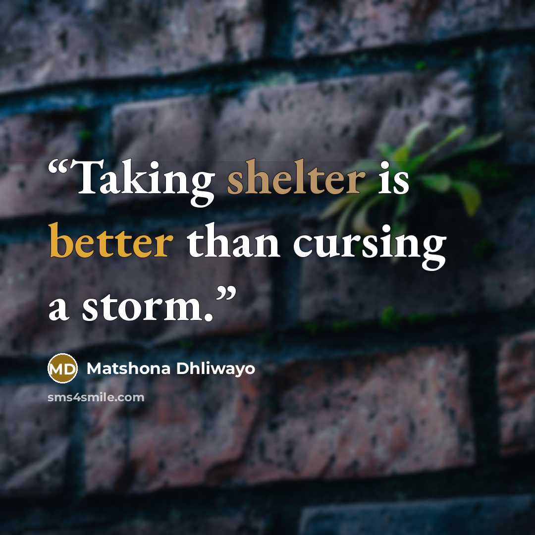 “Taking shelter is better than cursing a storm.” quote by Matshona Dhliwayo