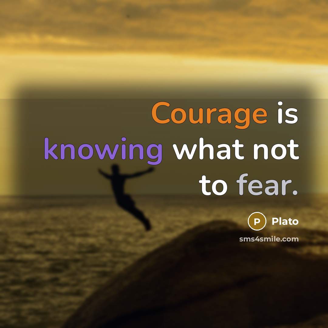 “Courage is knowing what not to fear.” quote by Plato
