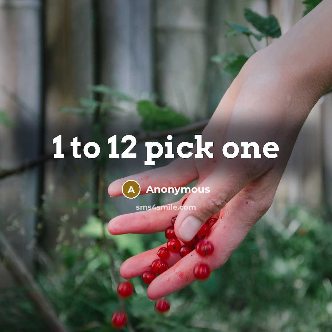“1 to 12 pick one” quote by Anonymous