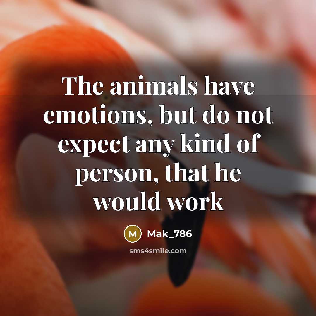 “The animals have emotions, but do not expect any kind of person, that he would work” quote by Mak_786