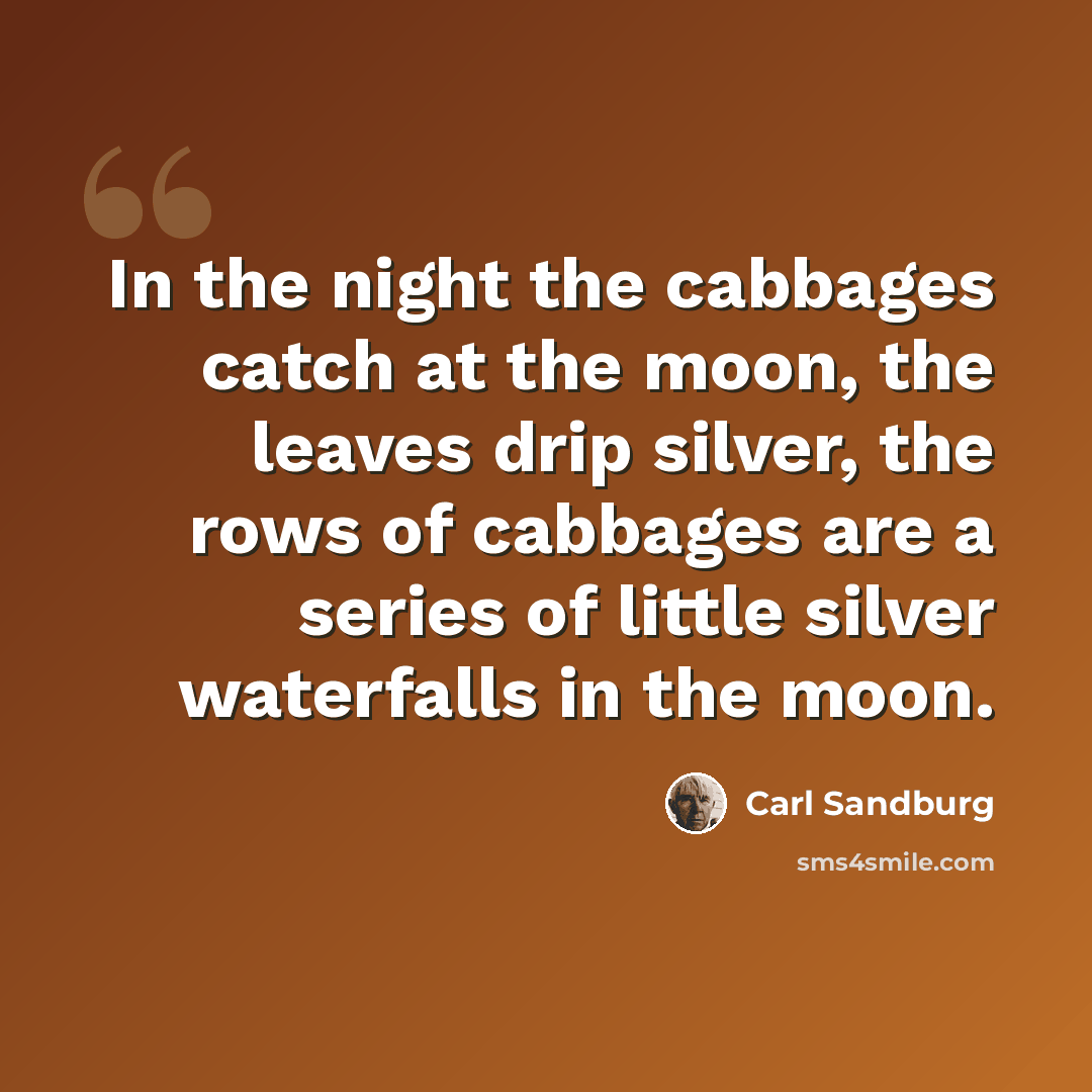 “In the night the cabbages catch at the moon, the leaves drip silver, the rows of cabbages are a series of little silver waterfalls in the moon.” quote by Carl Sandburg