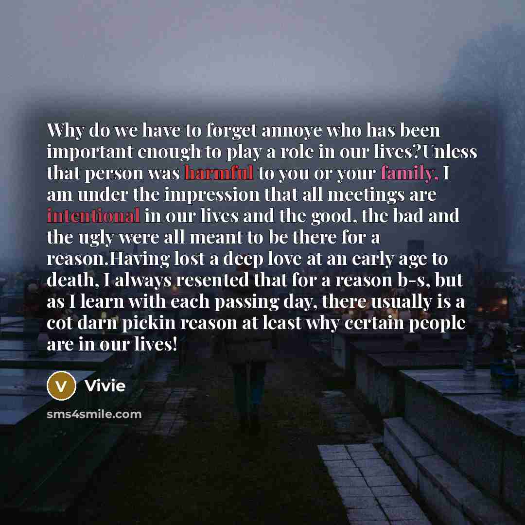 “Why do we have to forget annoye who has been important enough to play a role in our lives?Unless that person was harmful to you or your family, I am under the impression that all meetings are intentional in our lives and the good, the bad and the ugly were all meant to be there for a reason.Having…” quote by Vivie