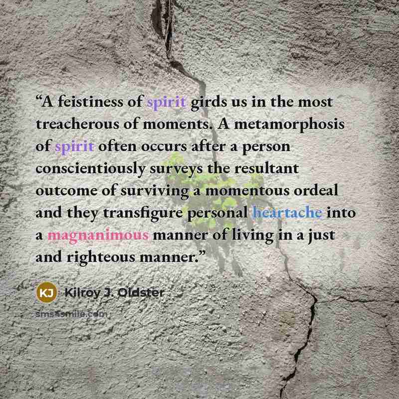 “A feistiness of spirit girds us in the most treacherous of moments. A metamorphosis of spirit often occurs after a person conscientiously surveys the resultant outcome of surviving a momentous ordeal and they transfigure personal heartache into a magnanimous manner of living in a just and…” quote by Kilroy J. Oldster