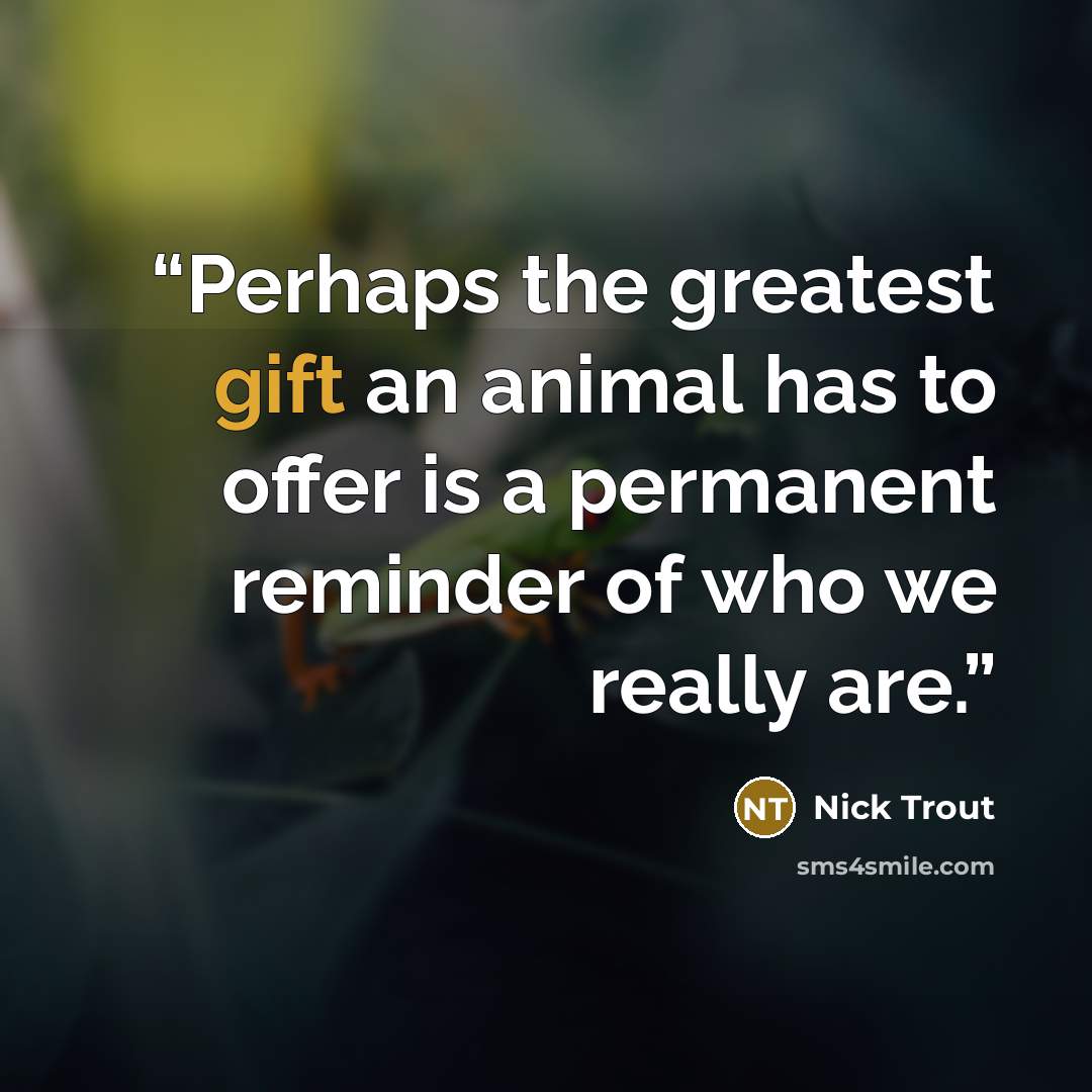 “Perhaps the greatest gift an animal has to offer is a permanent reminder of who we really are.” quote by Nick Trout