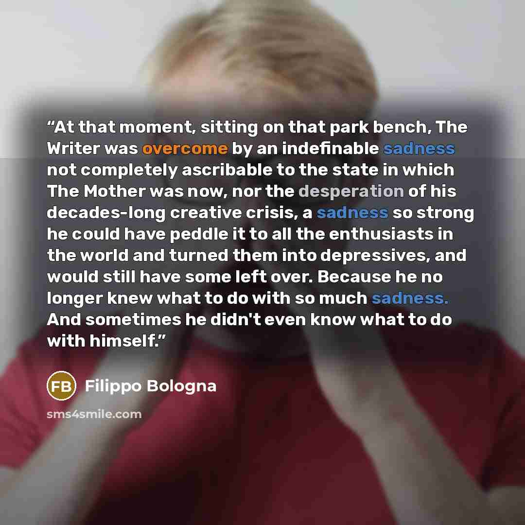 “At that moment, sitting on that park bench, The Writer was overcome by an indefinable sadness not completely ascribable to the state in which The Mother was now, nor the desperation of his decades-long creative crisis, a sadness so strong he could have peddle it to all the enthusiasts in the world…” quote by Filippo Bologna