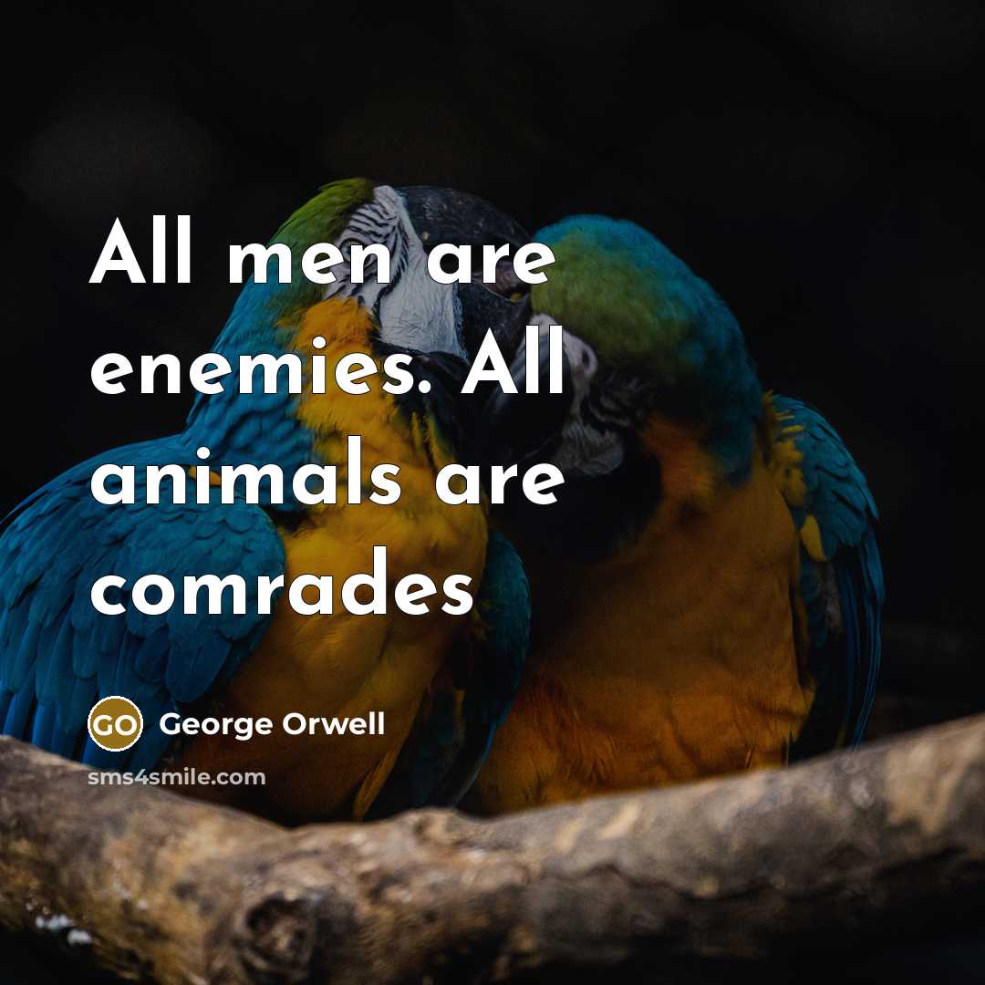 “All men are enemies. All animals are comrades” quote by George Orwell