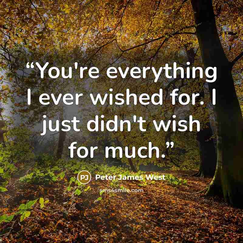 “You're everything I ever wished for. I just didn't wish for much.” quote by Peter James West