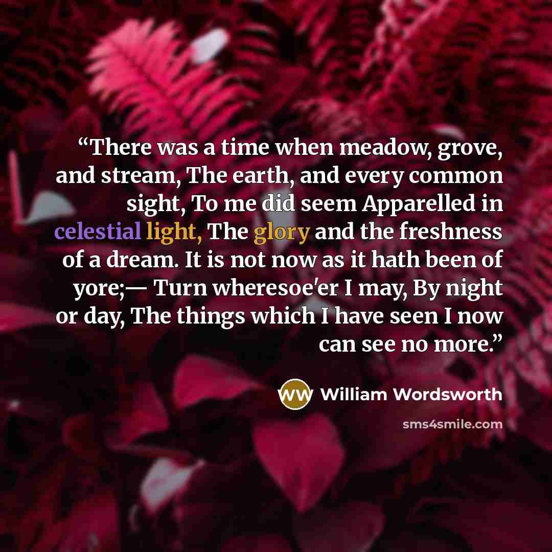 “There was a time when meadow, grove, and stream, The earth, and every common sight, To me did seem Apparelled in celestial light, The glory and the freshness of a dream. It is not now as it hath been of yore;— Turn wheresoe'er I may, By night or day, The things which I have seen I now can see no…” quote by William Wordsworth