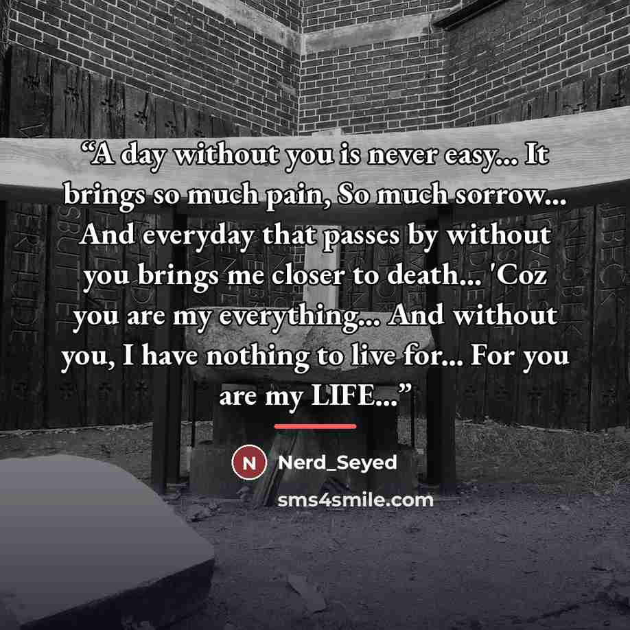 “A day without you is never easy... It brings so much pain, So much sorrow... And everyday that passes by without you brings me closer to death... 'Coz you are my everything... And without you, I have nothing to live for... For you are my LIFE...” quote by Nerd_Seyed