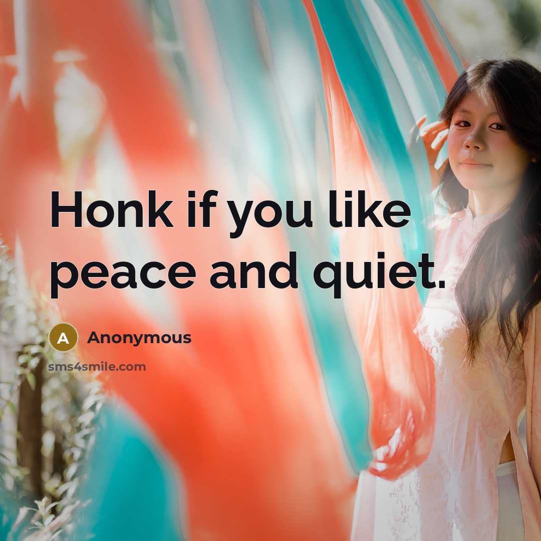 “Honk if you like peace and quiet.” quote by Anonymous
