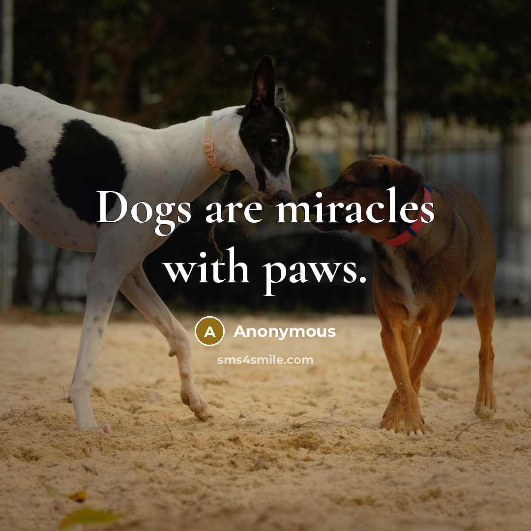 “Dogs are miracles with paws.” quote by Anonymous