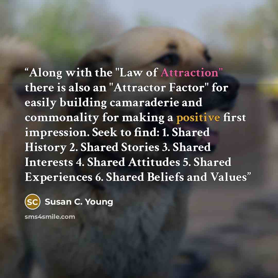 “Along with the "Law of Attraction" there is also an "Attractor Factor" for easily building camaraderie and commonality for making a positive first impression. Seek to find: 1. Shared History 2. Shared Stories 3. Shared Interests 4. Shared Attitudes 5. Shared Experiences 6. Shared Beliefs and Values” quote by Susan C. Young